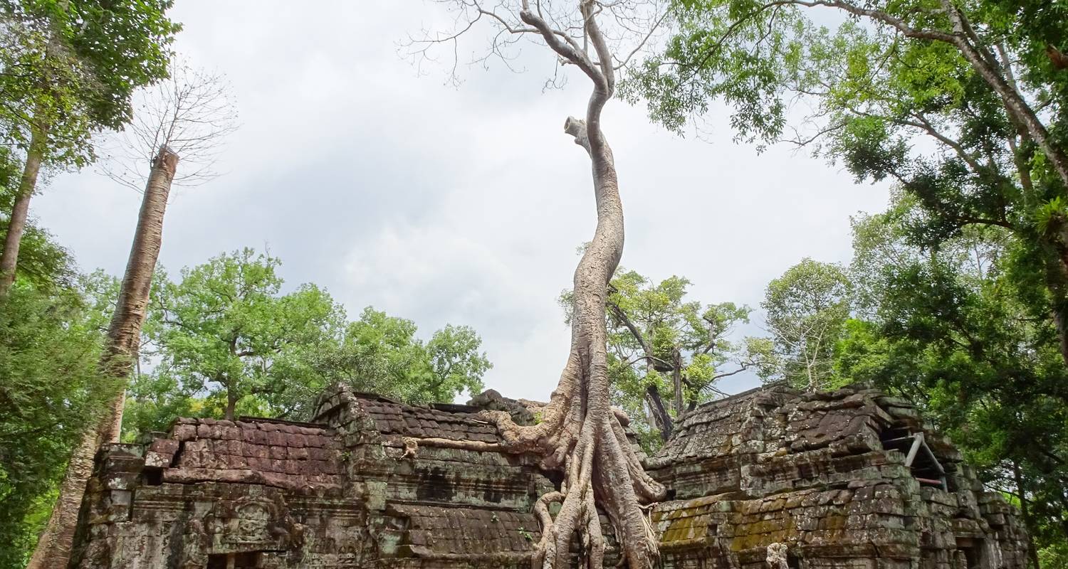 Cambodia Highlights 5-Day Tour | Best seller Tour in Cambodia